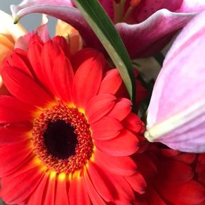 Meet your Posher, Ellen